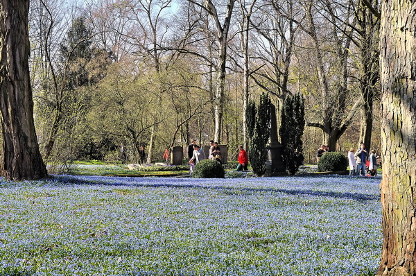 Fruehling2012   043.jpg